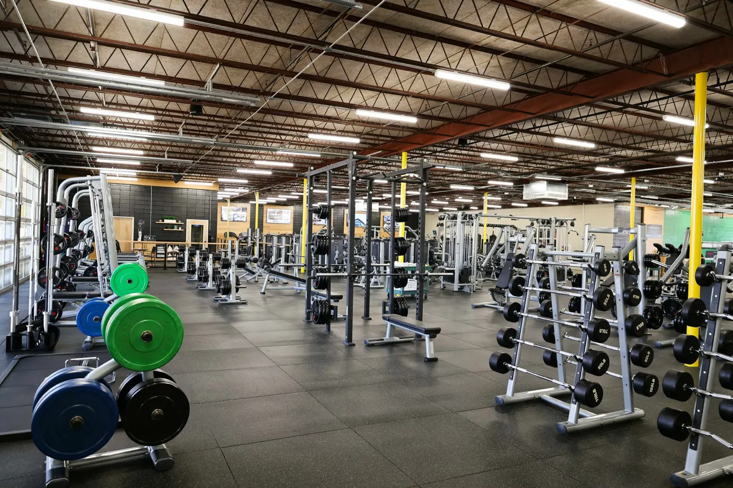 Free weights, dumbbell racks and bumper plates