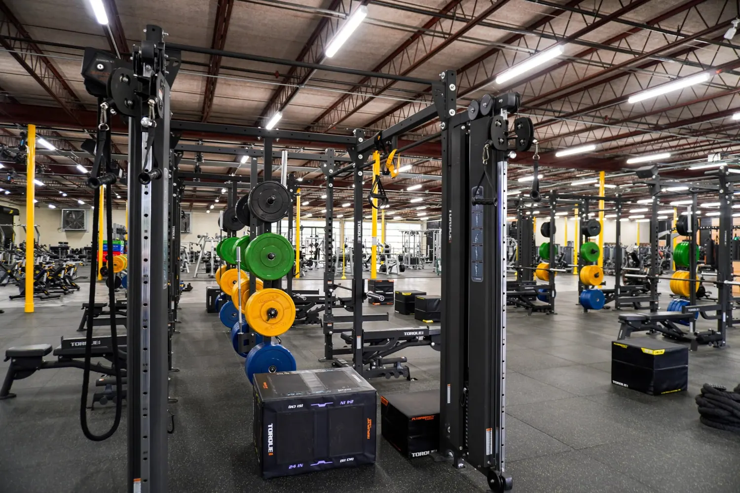 The functional training rig with plates and plyo boxes